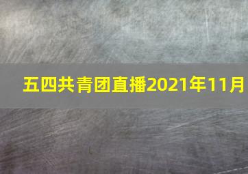 五四共青团直播2021年11月