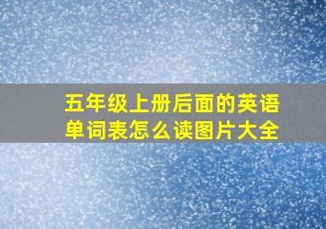 五年级上册后面的英语单词表怎么读图片大全