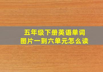 五年级下册英语单词图片一到六单元怎么读