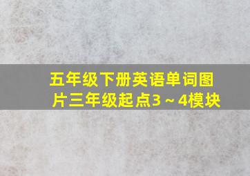 五年级下册英语单词图片三年级起点3～4模块