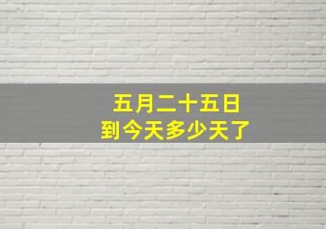 五月二十五日到今天多少天了