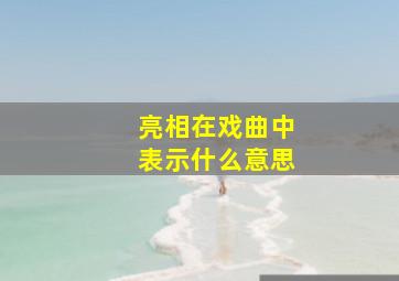 亮相在戏曲中表示什么意思