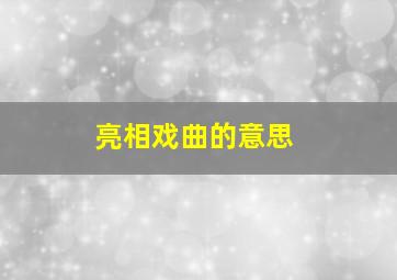 亮相戏曲的意思