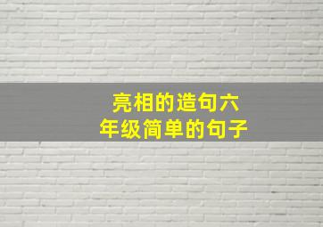 亮相的造句六年级简单的句子