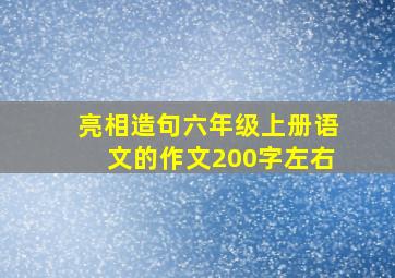 亮相造句六年级上册语文的作文200字左右