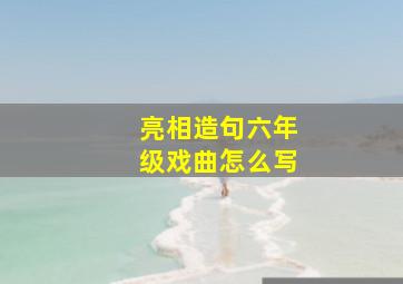 亮相造句六年级戏曲怎么写