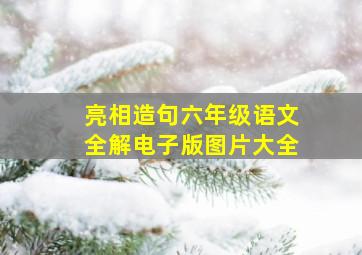 亮相造句六年级语文全解电子版图片大全