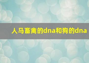 人马畜禽的dna和狗的dna