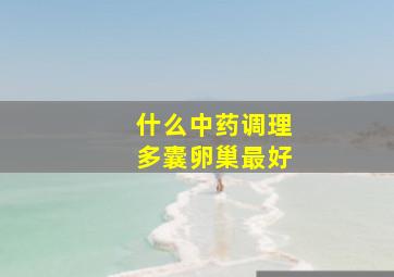 什么中药调理多囊卵巢最好