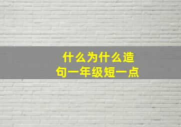 什么为什么造句一年级短一点