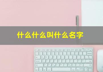 什么什么叫什么名字