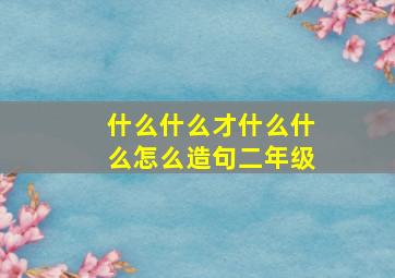 什么什么才什么什么怎么造句二年级