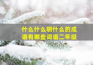 什么什么明什么的成语有哪些词语二年级