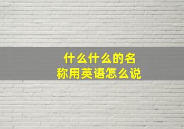 什么什么的名称用英语怎么说