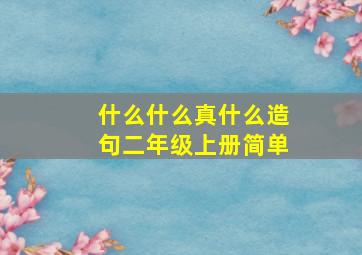 什么什么真什么造句二年级上册简单