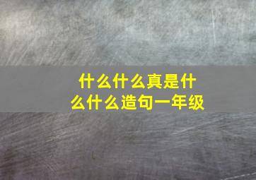 什么什么真是什么什么造句一年级