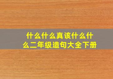 什么什么真该什么什么二年级造句大全下册