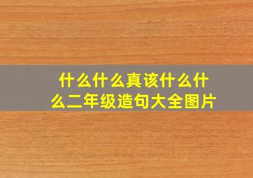 什么什么真该什么什么二年级造句大全图片