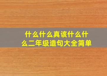 什么什么真该什么什么二年级造句大全简单