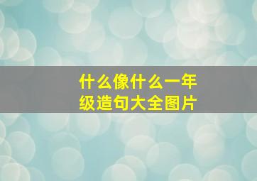 什么像什么一年级造句大全图片