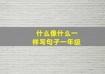 什么像什么一样写句子一年级