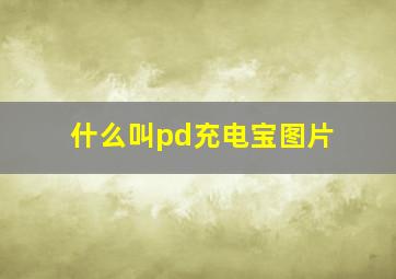 什么叫pd充电宝图片