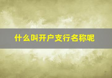 什么叫开户支行名称呢