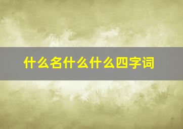 什么名什么什么四字词