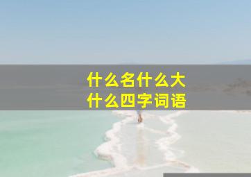 什么名什么大什么四字词语