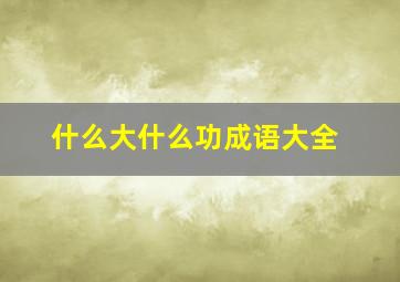 什么大什么功成语大全