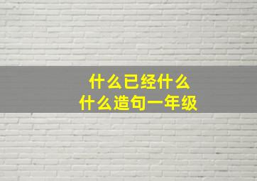 什么已经什么什么造句一年级