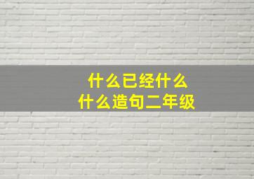 什么已经什么什么造句二年级