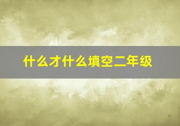 什么才什么填空二年级