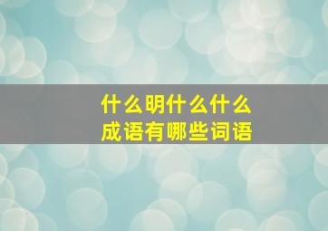 什么明什么什么成语有哪些词语