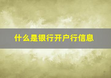 什么是银行开户行信息