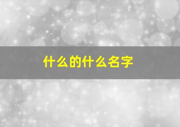 什么的什么名字