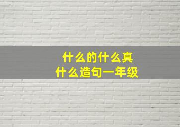 什么的什么真什么造句一年级