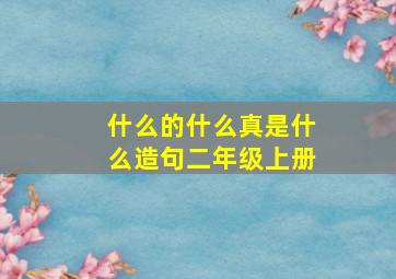 什么的什么真是什么造句二年级上册