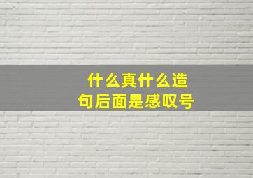 什么真什么造句后面是感叹号