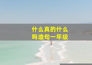 什么真的什么吗造句一年级