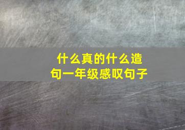 什么真的什么造句一年级感叹句子