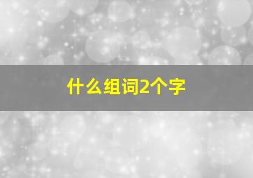 什么组词2个字