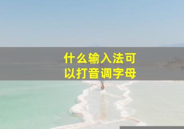 什么输入法可以打音调字母