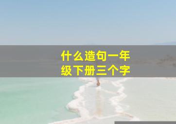 什么造句一年级下册三个字