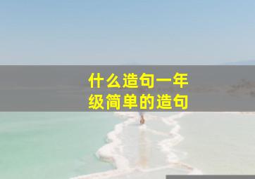 什么造句一年级简单的造句