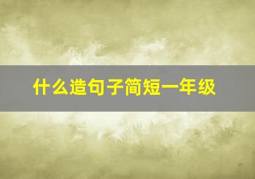 什么造句子简短一年级