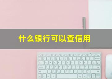 什么银行可以查信用