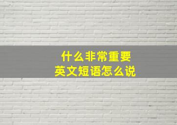 什么非常重要英文短语怎么说