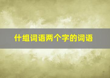 什组词语两个字的词语