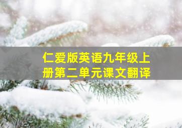 仁爱版英语九年级上册第二单元课文翻译